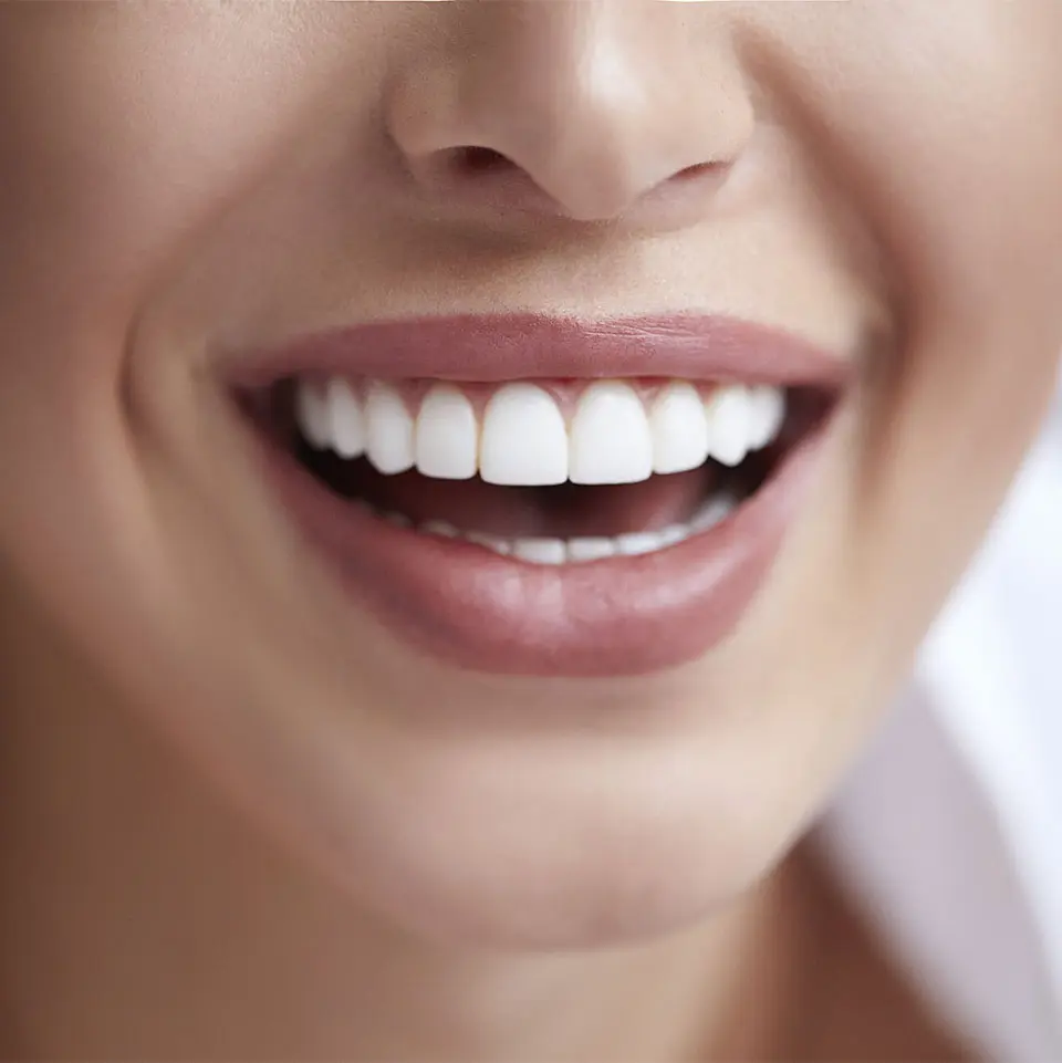 ToothDocs ToothDocs